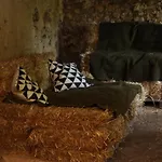 Pajtas Vendeghaz Maison d'hôtes 3*