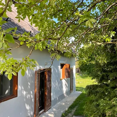 Pajtas Vendeghaz Guest house *
