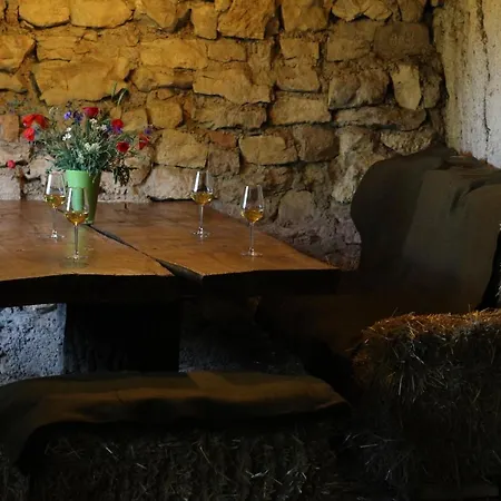 Pajtas Vendeghaz Guest house *